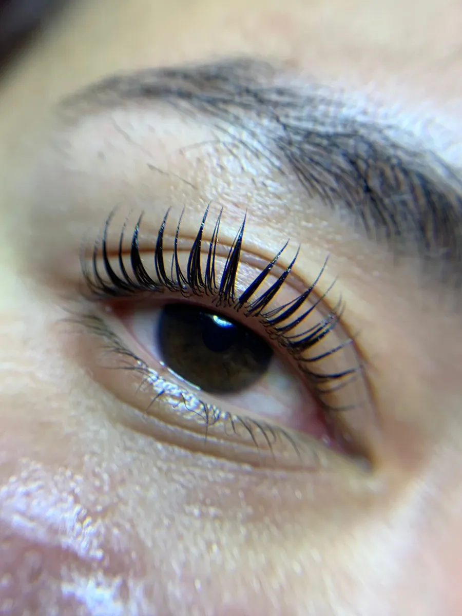 Resultado Brow Lamination — Técnica Coreana