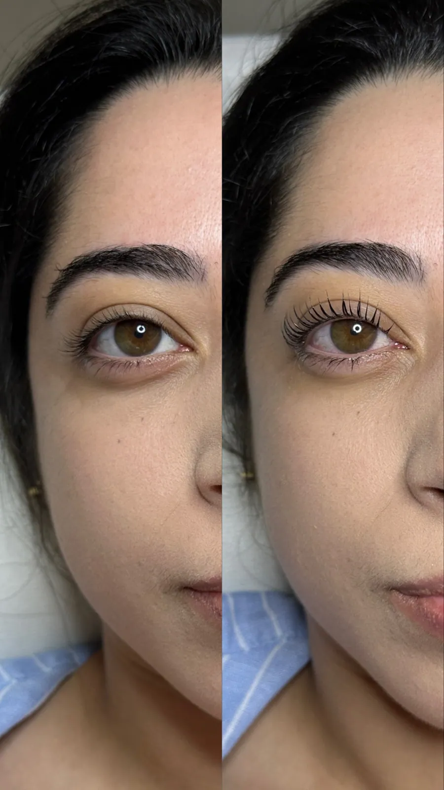 Resultado Lash + Brow — Técnica Coreana